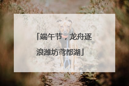 端午节，龙舟逐浪潍坊鸢都湖