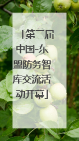 第三届中国-东盟防务智库交流活动开幕
