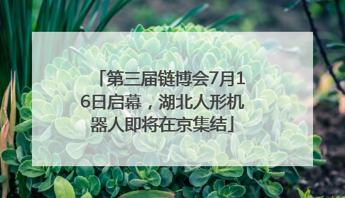 第三届链博会7月16日启幕，湖北人形机器人即将在京集结