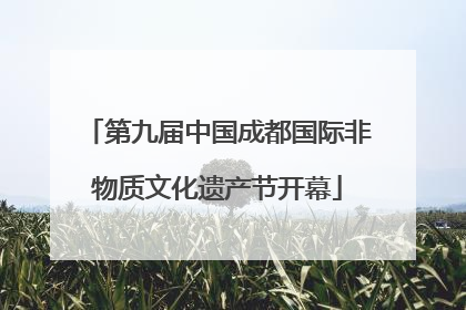 第九届中国成都国际非物质文化遗产节开幕