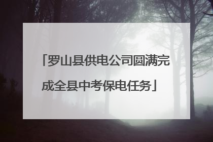 罗山县供电公司圆满完成全县中考保电任务