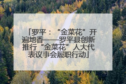 罗平：“金菜花”开遍地香——罗平县创新推行“金菜花”人大代表议事会履职行动