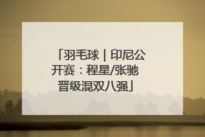 羽毛球｜印尼公开赛：程星/张驰晋级混双八强