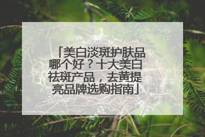 美白淡斑护肤品哪个好？十大美白祛斑产品，去黄提亮品牌选购指南