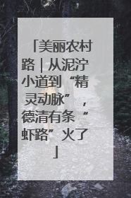 美丽农村路｜从泥泞小道到“精灵动脉”，德清有条“虾路”火了