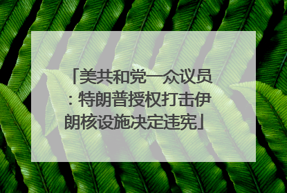 美共和党一众议员：特朗普授权打击伊朗核设施决定违宪