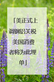美正式上调钢铝关税 美国消费者将为此埋单