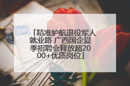 精准护航退役军人就业路 广西国企夏季招聘会释放超2000+优质岗位