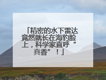 精密的水下雷达竟然就长在海豹脸上，科学家直呼“真香”！