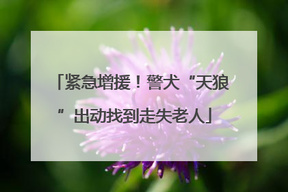 紧急增援！警犬“天狼”出动找到走失老人