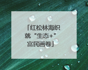 红松林海织就“生态+”富民画卷