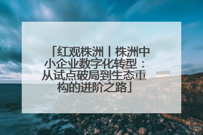 红观株洲丨株洲中小企业数字化转型：从试点破局到生态重构的进阶之路