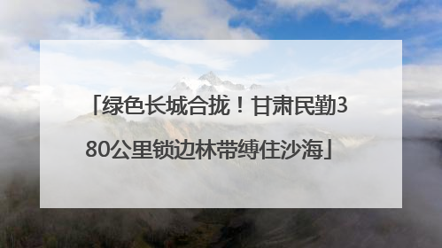 绿色长城合拢！甘肃民勤380公里锁边林带缚住沙海