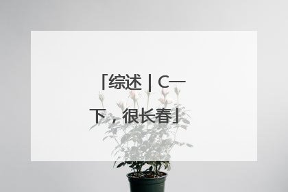 综述｜C一下，很长春