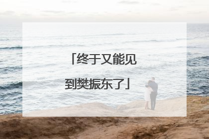 终于又能见到樊振东了
