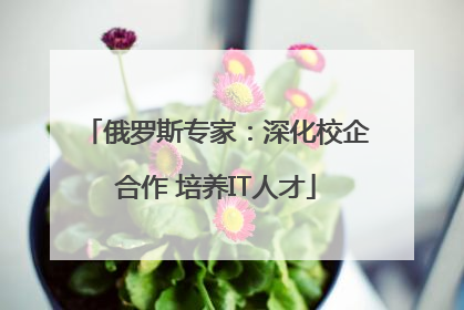 俄罗斯专家：深化校企合作 培养IT人才