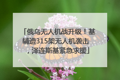 俄乌无人机战升级！基辅遭315架无人机袭击，泽连斯基紧急求援