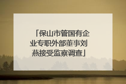 保山市管国有企业专职外部董事刘燕接受监察调查
