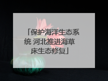 保护海洋生态系统 河北推进海草床生态修复