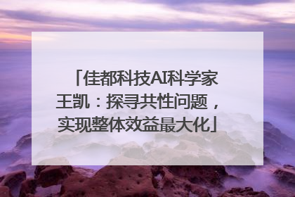 佳都科技AI科学家王凯：探寻共性问题，实现整体效益最大化