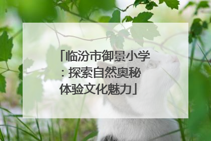 临汾市御景小学：探索自然奥秘 体验文化魅力