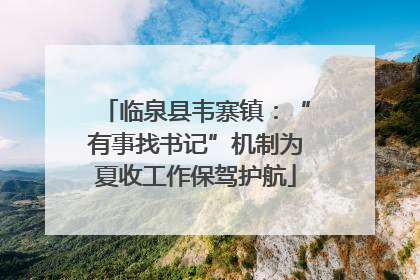 临泉县韦寨镇：“有事找书记”机制为夏收工作保驾护航