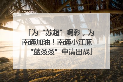 为“苏超”喝彩，为南通加油！南通小江豚“蓝叒叒”申请出战