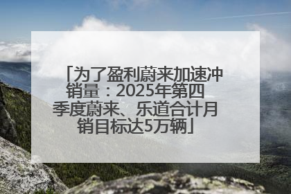 为了盈利蔚来加速冲销量：2025年第四季度蔚来、乐道合计月销目标达5万辆