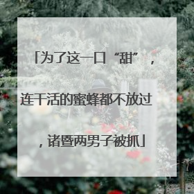 为了这一口“甜”，连干活的蜜蜂都不放过，诸暨两男子被抓