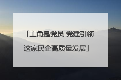主角是党员 党建引领这家民企高质量发展