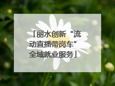 丽水创新“流动直播带岗车”全域就业服务