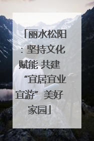丽水松阳：坚持文化赋能 共建“宜居宜业宜游”美好家园
