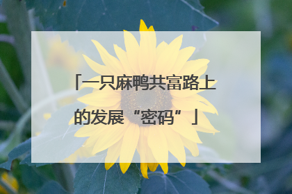 一只麻鸭共富路上的发展“密码”