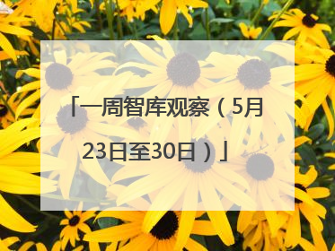 一周智库观察（5月23日至30日）