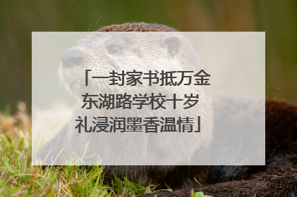 一封家书抵万金 东湖路学校十岁礼浸润墨香温情
