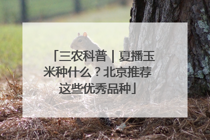 三农科普｜夏播玉米种什么？北京推荐这些优秀品种