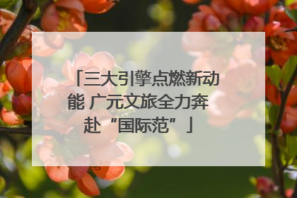 三大引擎点燃新动能 广元文旅全力奔赴“国际范”