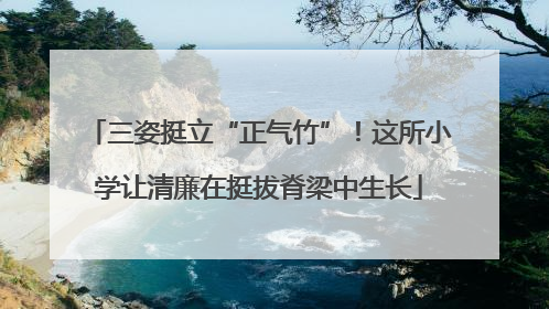 三姿挺立“正气竹”！这所小学让清廉在挺拔脊梁中生长