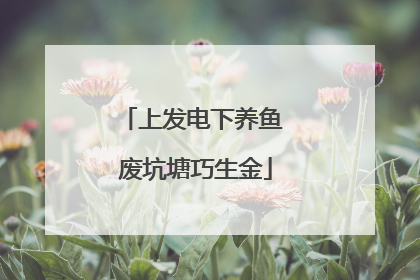 上发电下养鱼 废坑塘巧生金