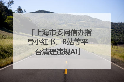 上海市委网信办指导小红书、B站等平台清理违规AI