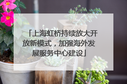 上海虹桥持续放大开放新模式，加强海外发展服务中心建设