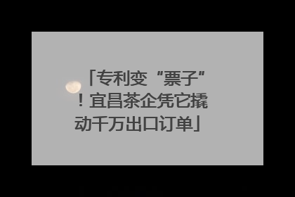 专利变“票子”！宜昌茶企凭它撬动千万出口订单