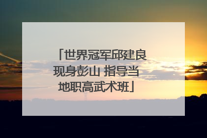 世界冠军邱建良现身彭山 指导当地职高武术班
