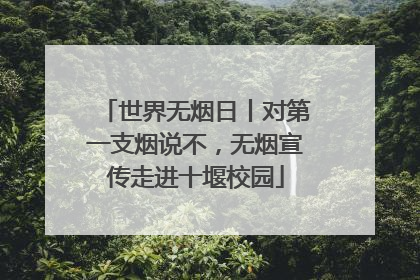 世界无烟日丨对第一支烟说不，无烟宣传走进十堰校园