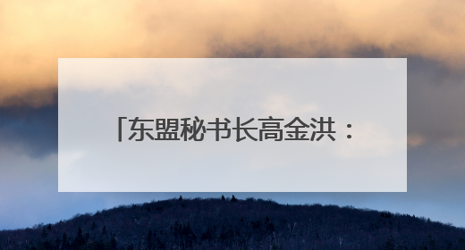 东盟秘书长高金洪：RCEP是区域经济一体化的关键支柱