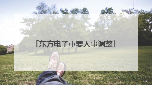 东方电子重要人事调整