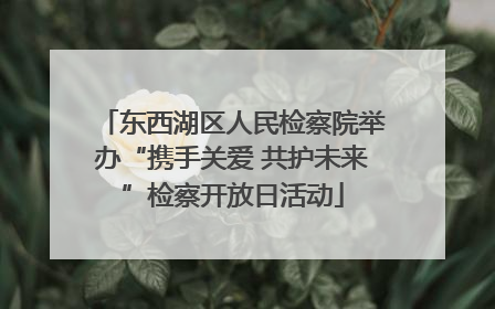 东西湖区人民检察院举办“携手关爱 共护未来”检察开放日活动