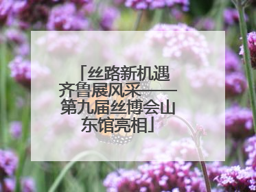 丝路新机遇 齐鲁展风采——第九届丝博会山东馆亮相