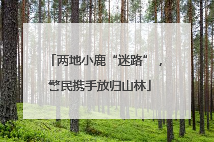 两地小鹿“迷路”，警民携手放归山林