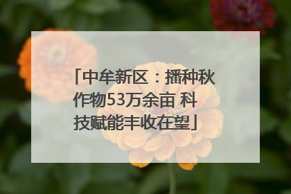 中牟新区：播种秋作物53万余亩 科技赋能丰收在望